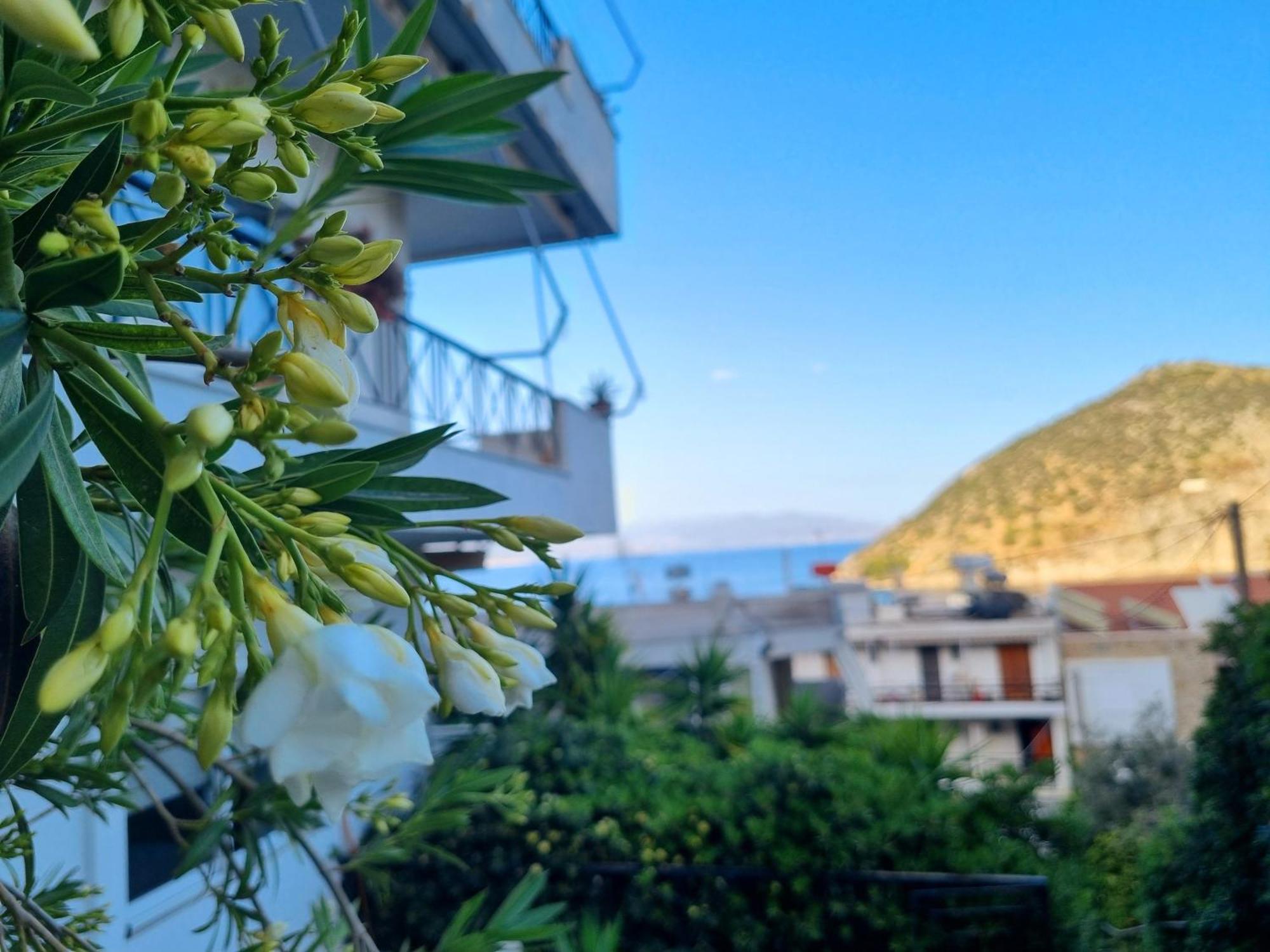 Tolo At Sea - Nova Apartment Exterior photo